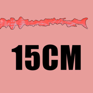 15cm