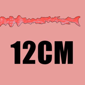 12cm